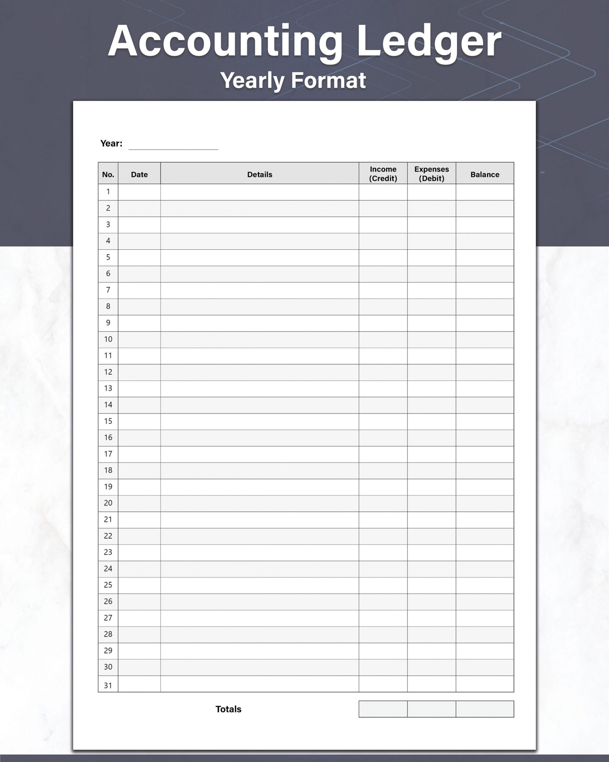 Accounting Ledger Template Yearly Accounts and General Ledger - Etsy