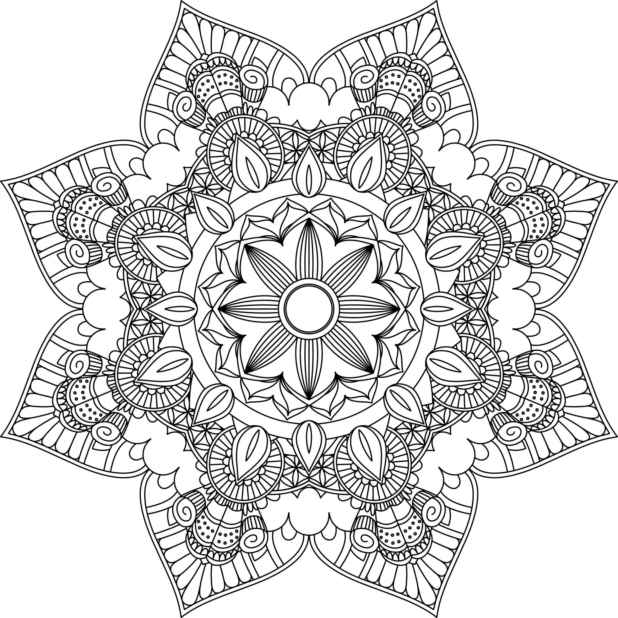 Mandala Coloring Pages Adult Coloring Sheet Printable - Etsy Canada