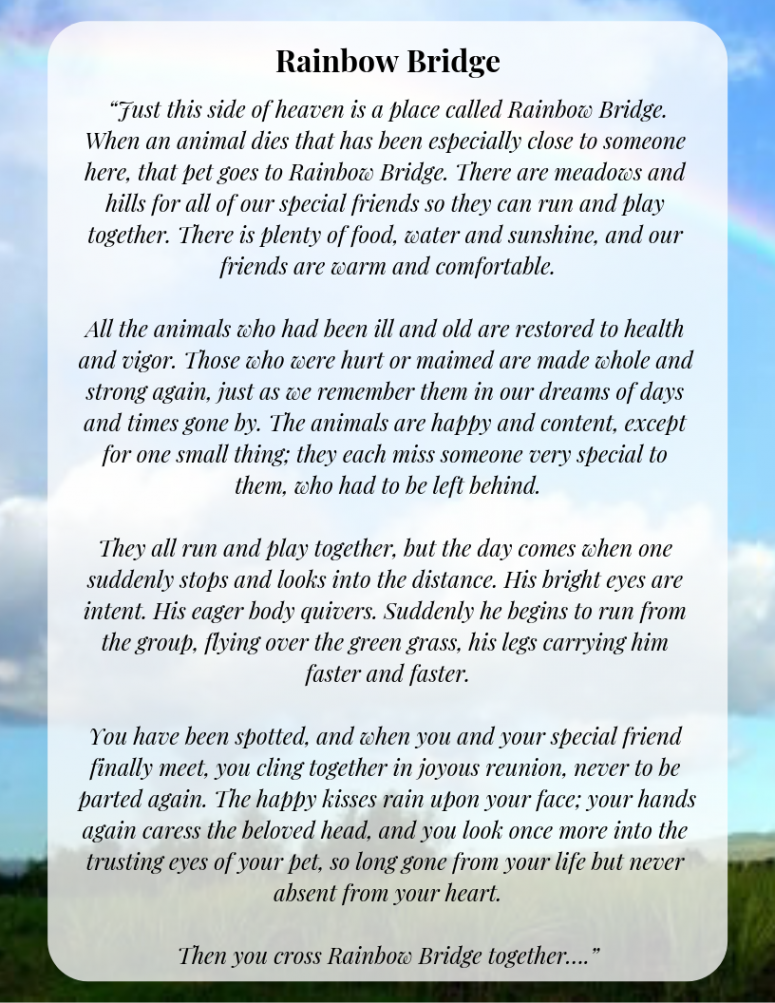 Original Rainbow Bridge Poem Printable Version for Free - Humane