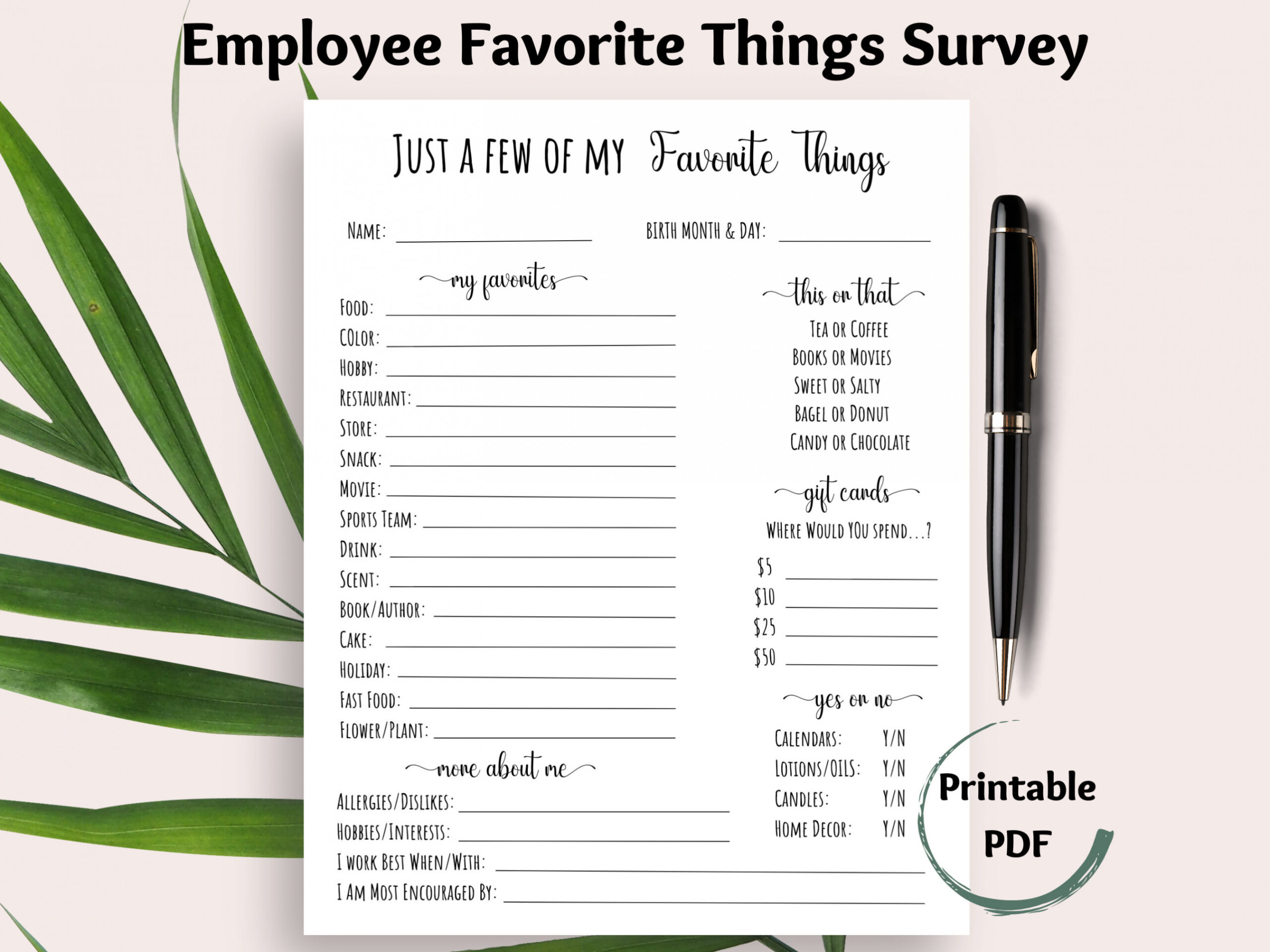 Employee Favorite Things Survey Coworker Questions Printable - Etsy