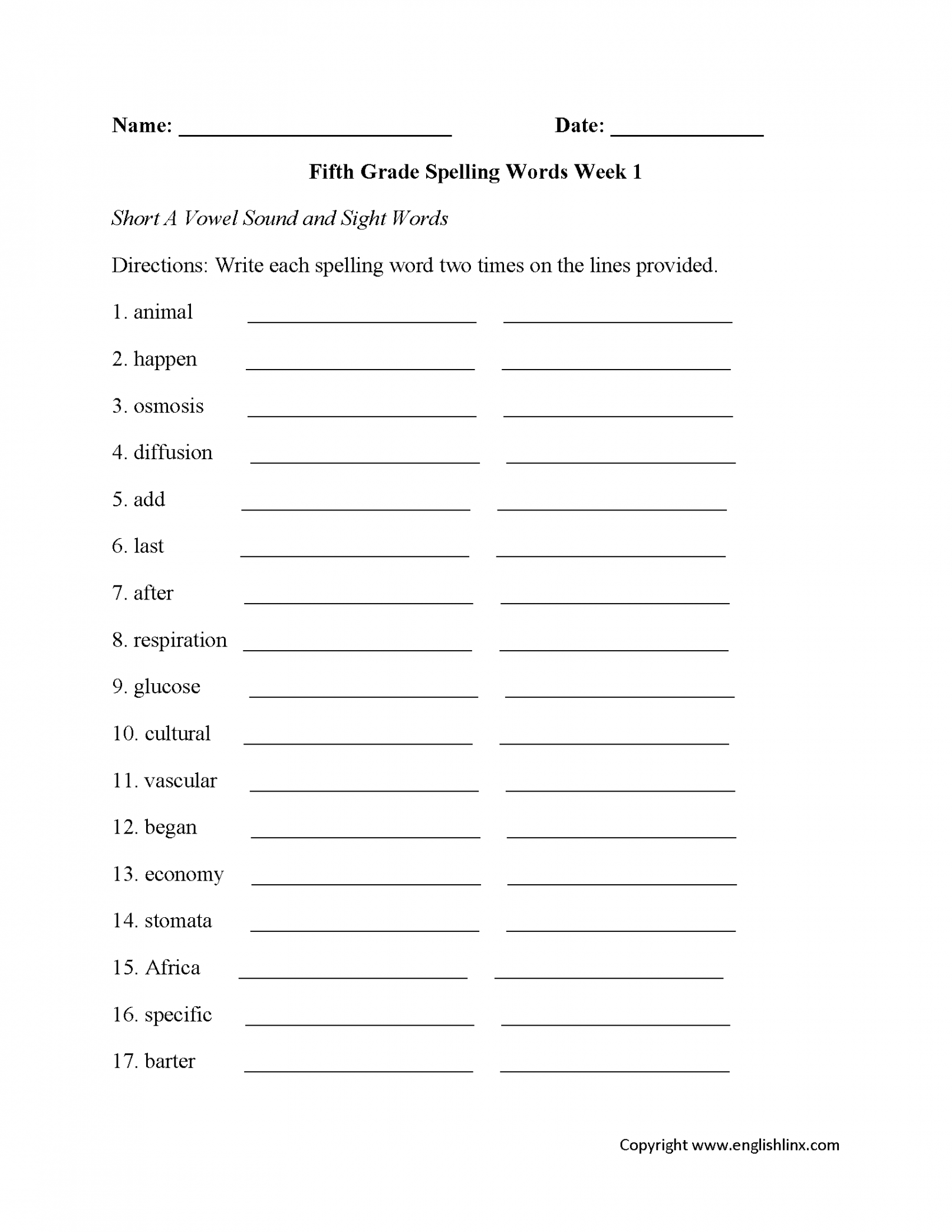 Spelling Worksheets  Fifth Grade Spelling Worksheets