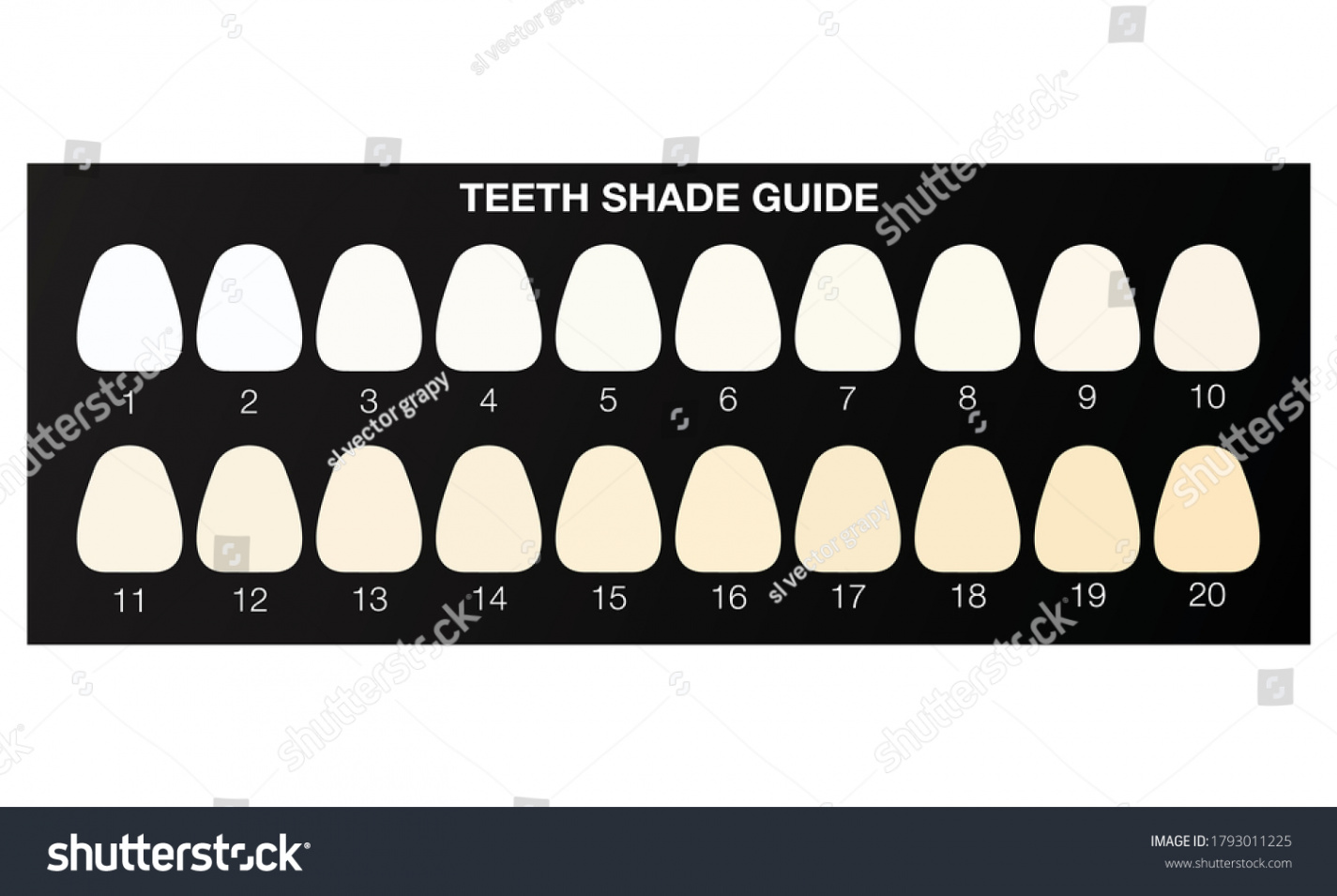 Whitening Chart Images, Stock Photos, D objects, & Vectors