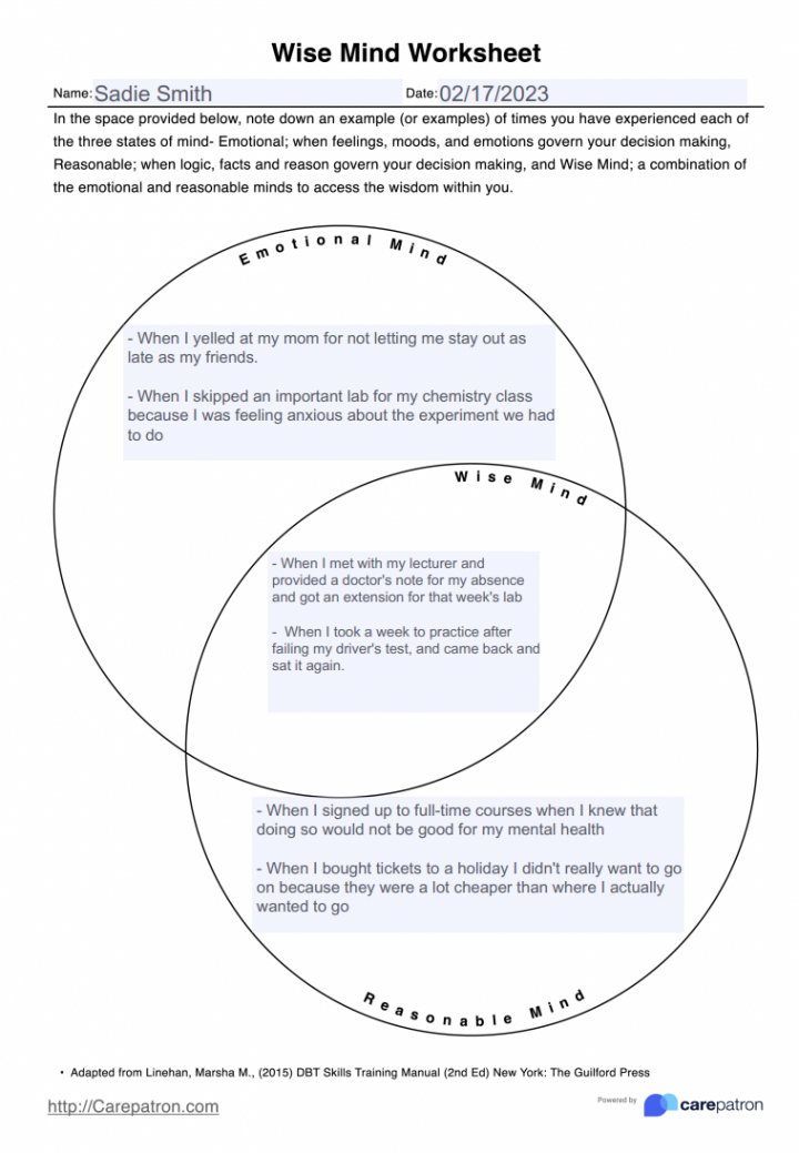 Wise Mind Worksheets & Example  Free PDF Download