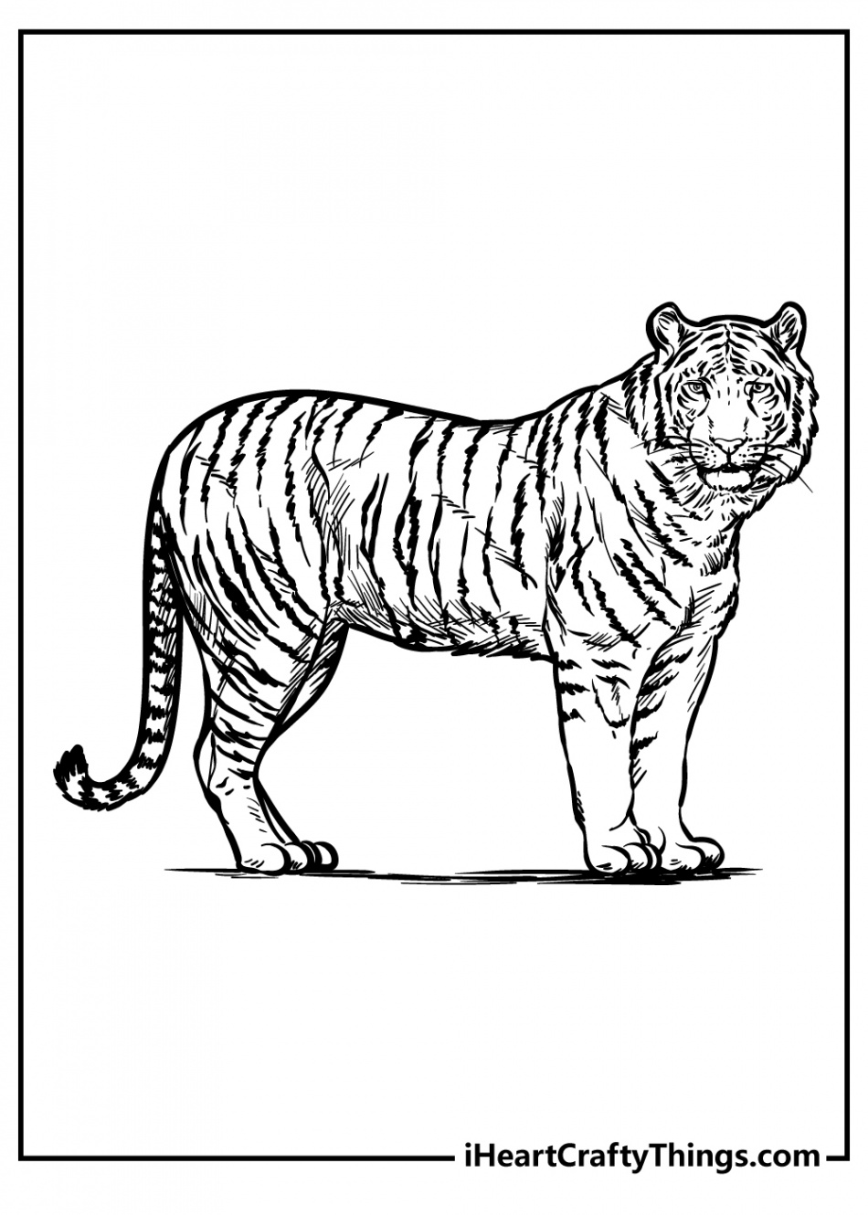 Zoo Animals Coloring Pages (% Free Printables)