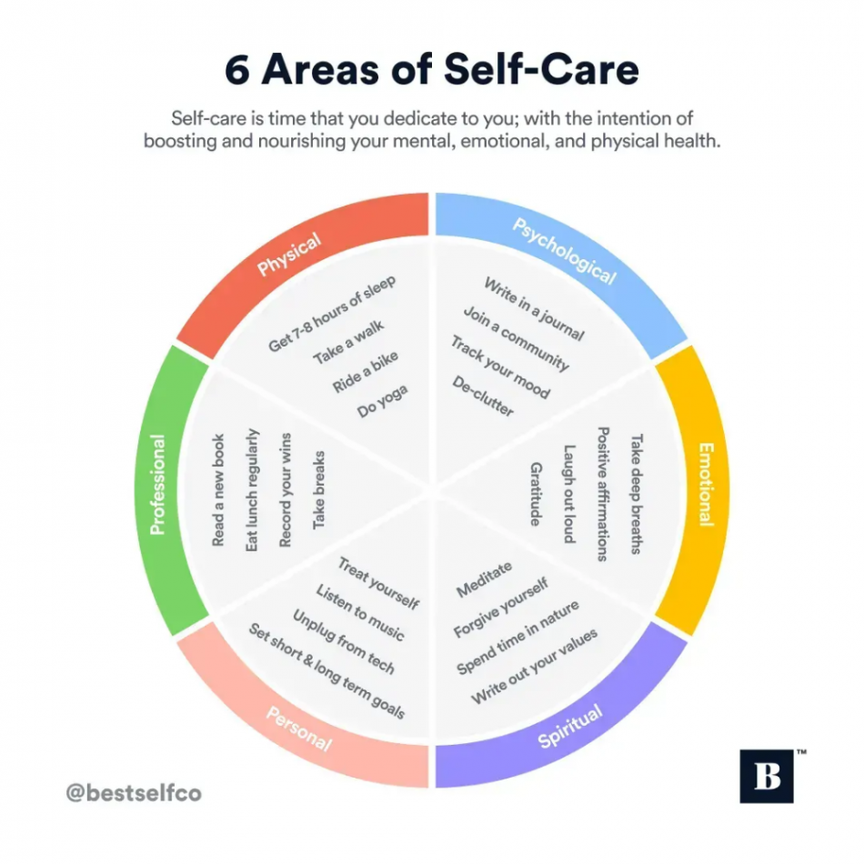 Areas of Self-Care Wheel (Free PDF Download)  Self care wheel