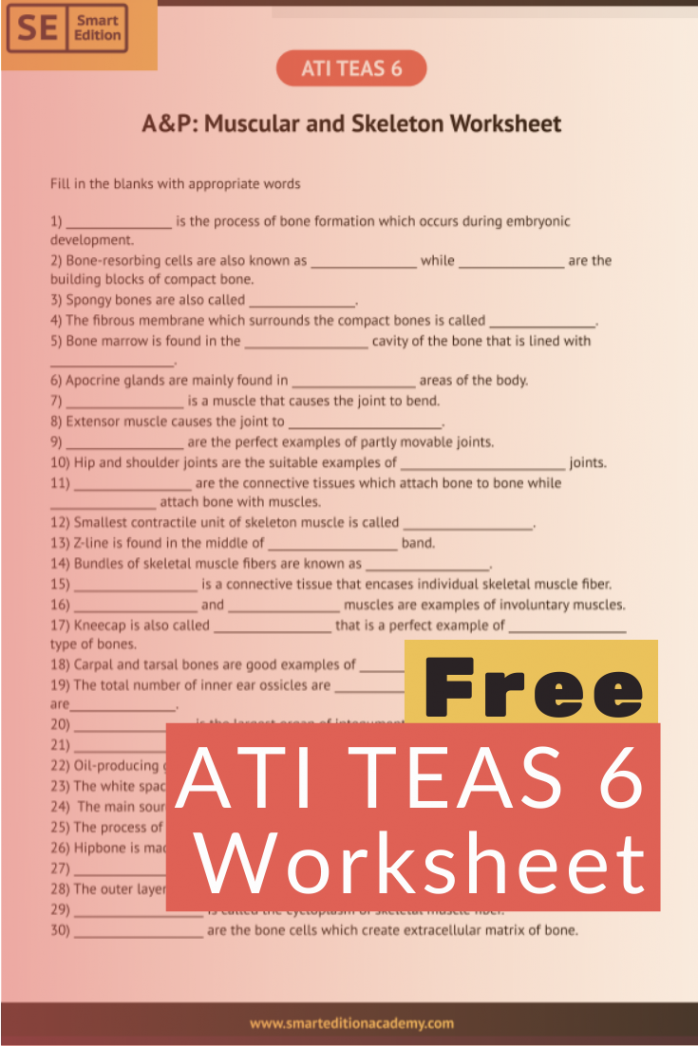 ATI TEAS A&P Worksheet - Free Download ~ Smart Edition Academy