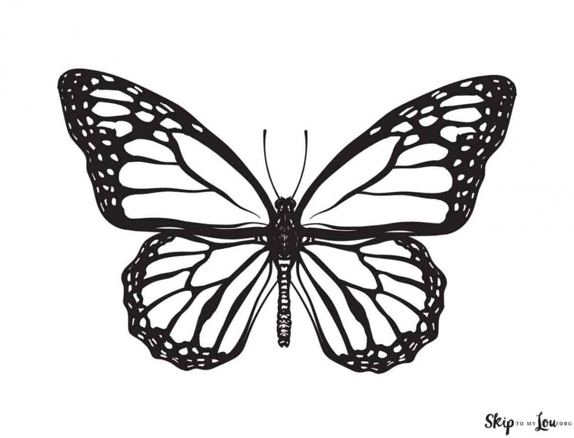 Beautiful Butterfly Coloring Pages to Download and Print  Skip To