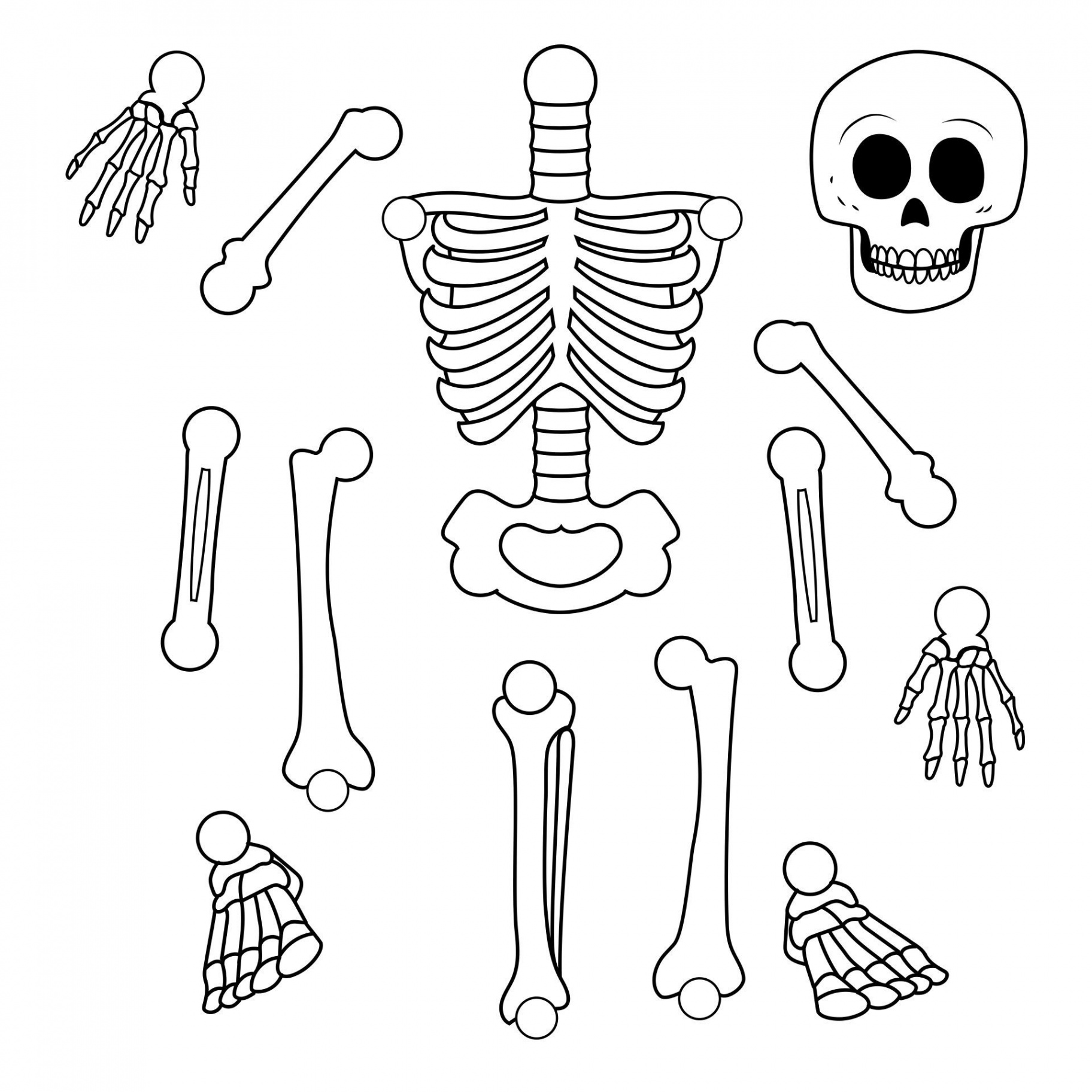 Best Large Printable Skeleton Template PDF for Free at