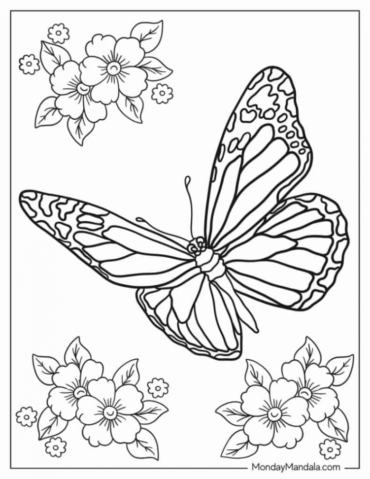 Butterfly Coloring Pages (Free PDF Printables)