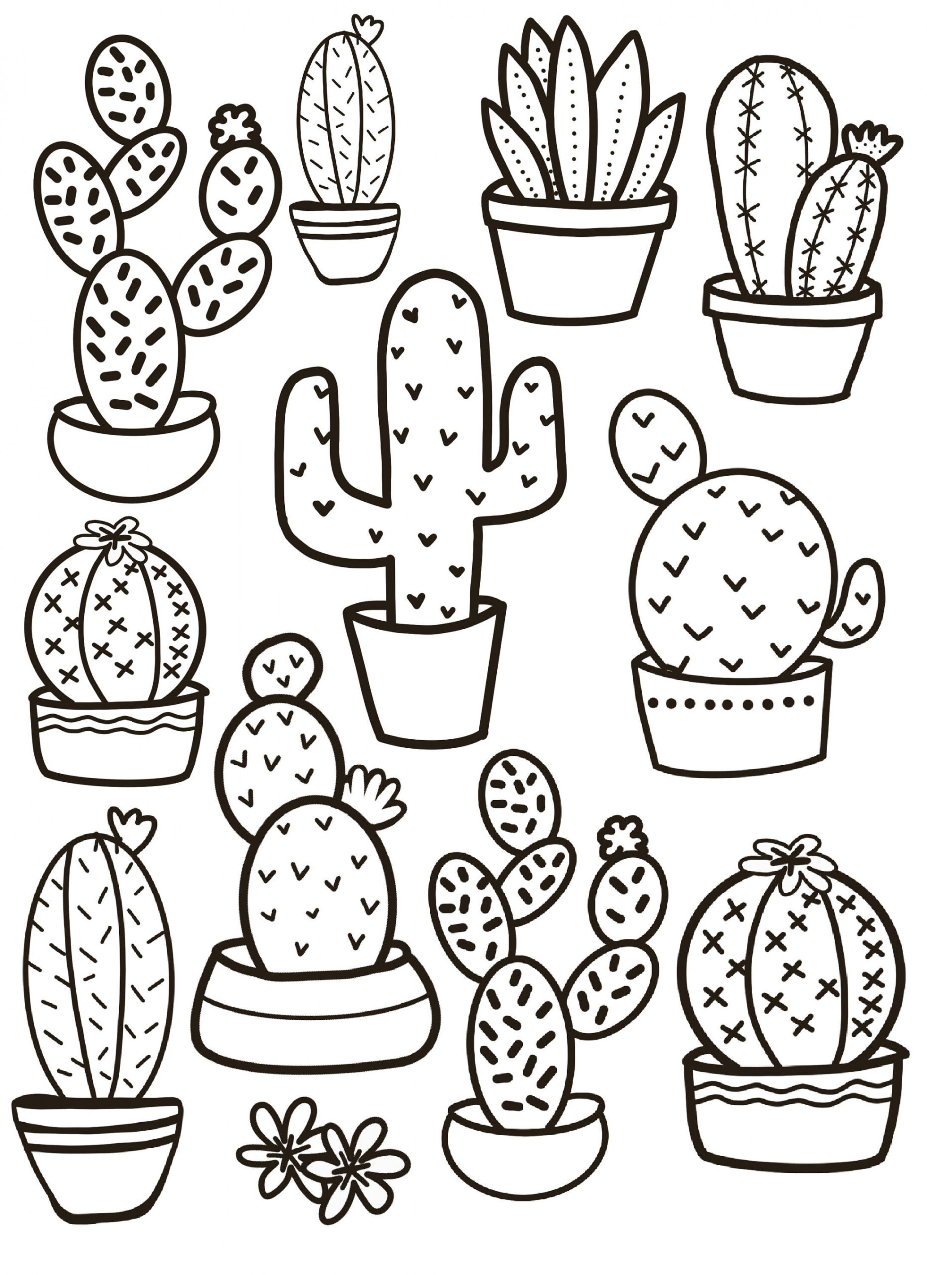 Coloring pages, downloadable pages, desert pages, Cactus coloring book,  Cactus coloring page, Arizona Art, Nature coloring pages, mcactus