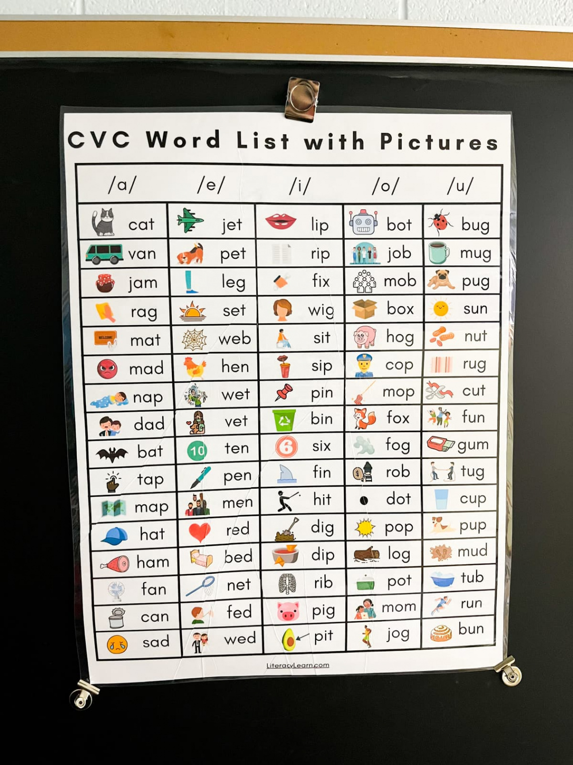 + CVC Words with Pictures & Printable Worksheets - Literacy Learn