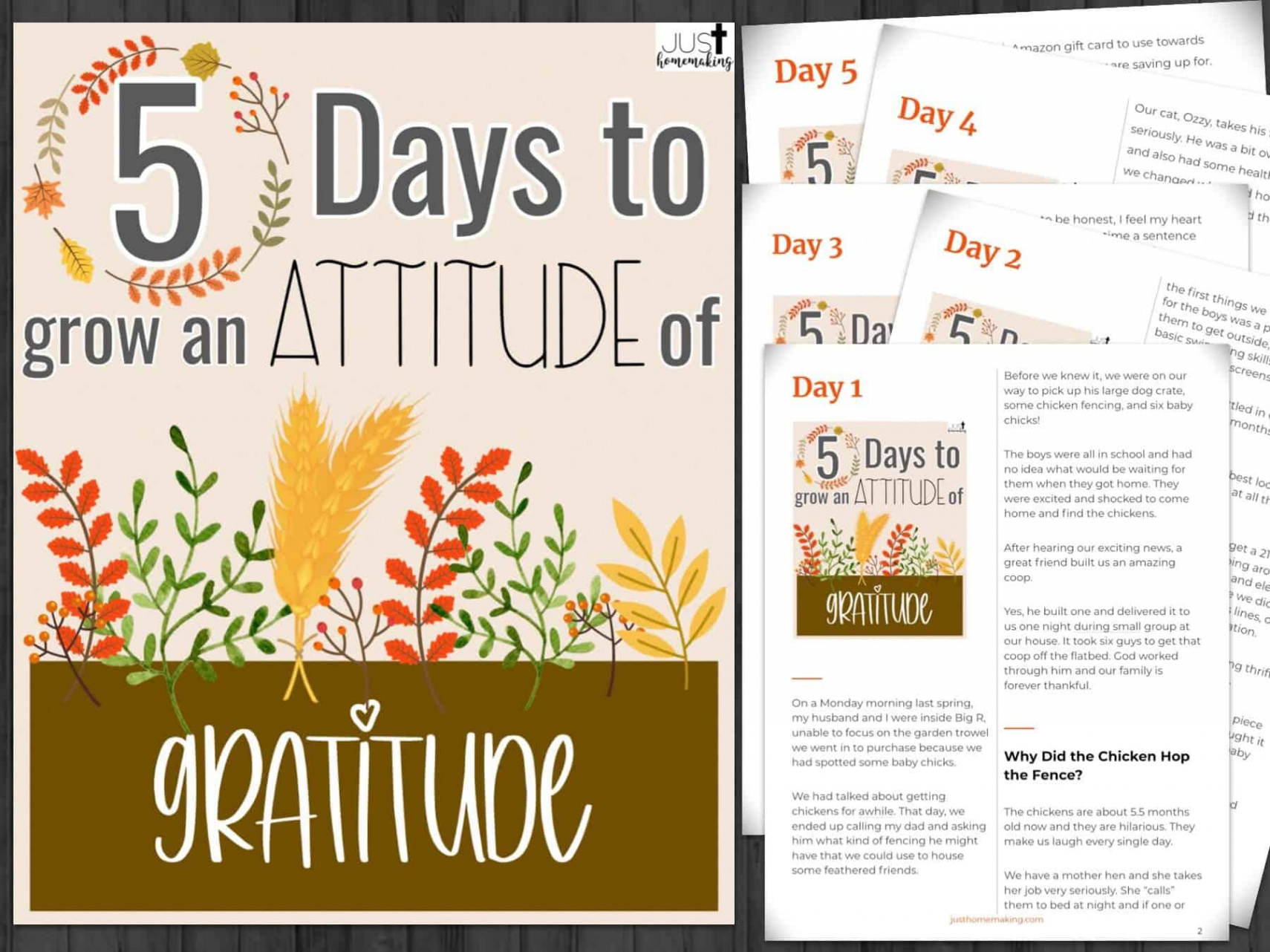 Days to Grow an Attitude of Gratitude: a Thanksgiving Devotion