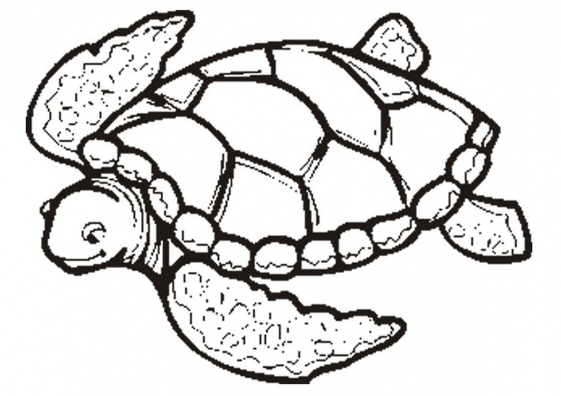 Free Printable Turtle Coloring Pages For Kids  Animal coloring