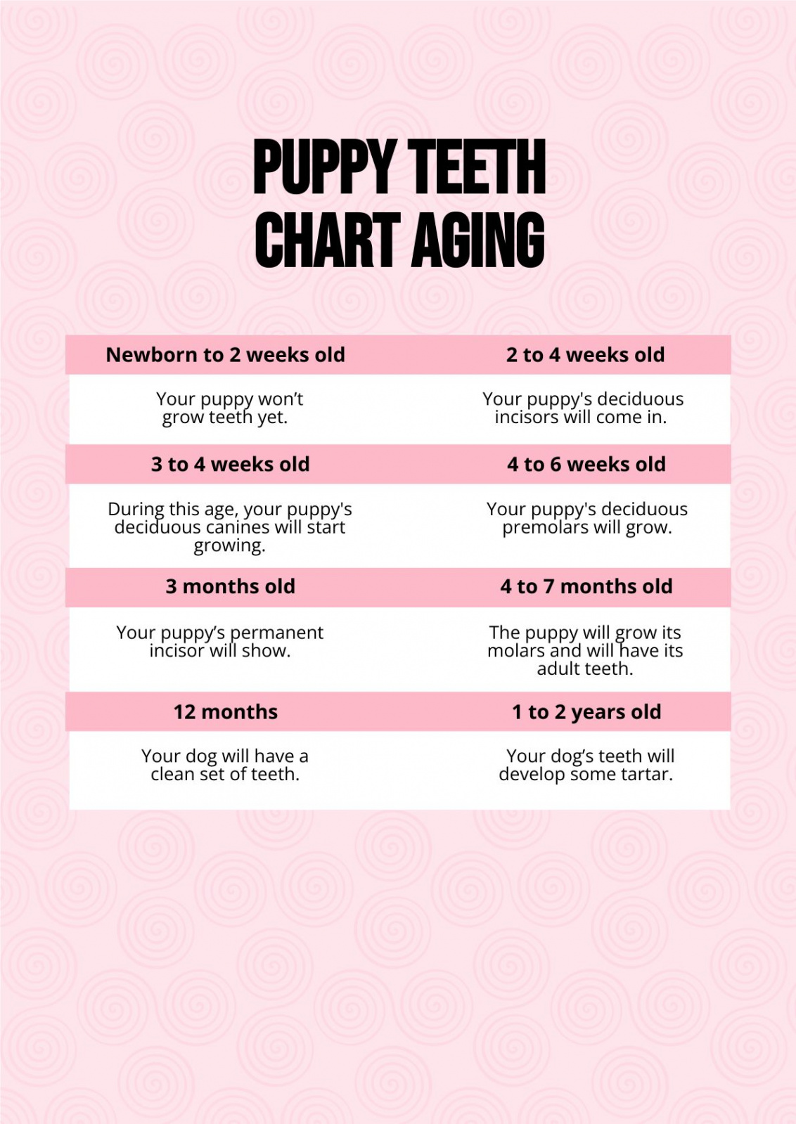 Free Puppy Teeth Chart Aging - Download in PDF  Template