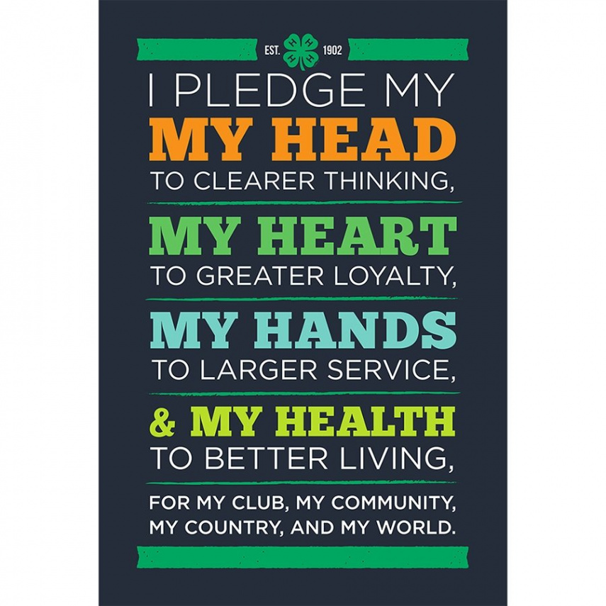 -H Pledge Print - Dark Background – Shop -H