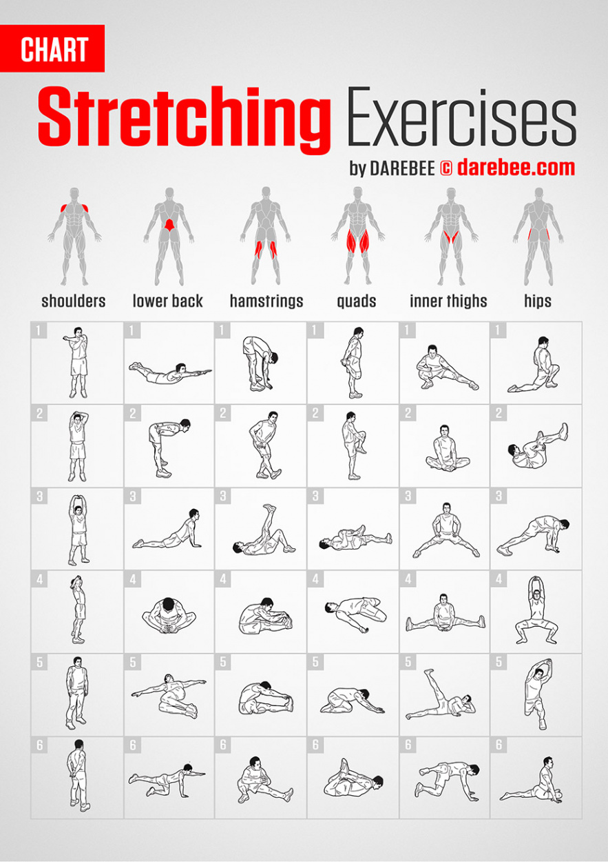 Stretching Exercises  Chart