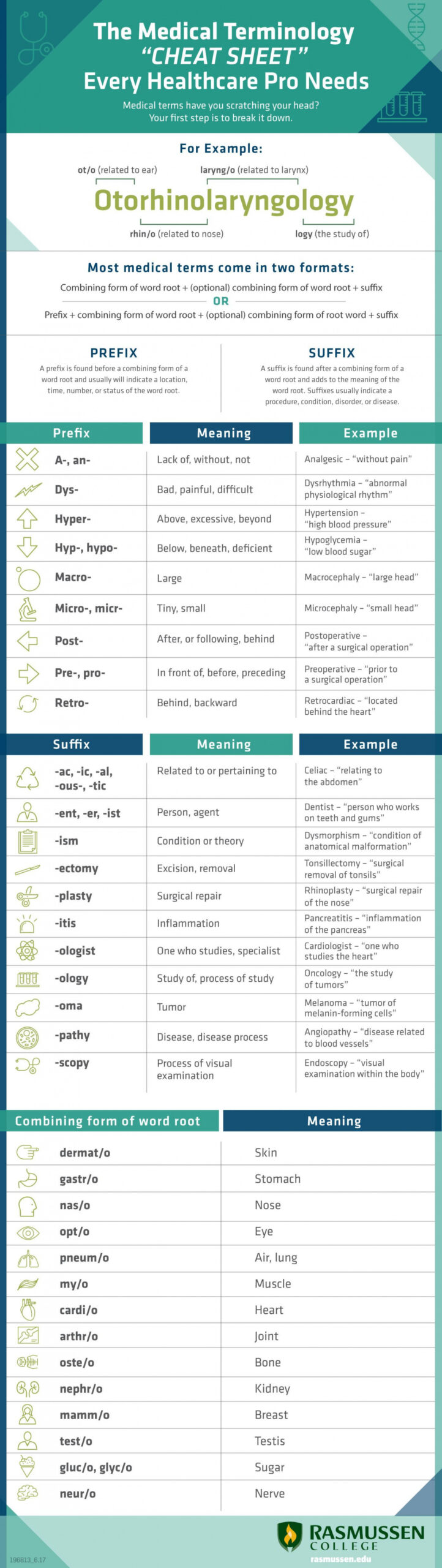 The Medical Terminology "cheat sheet" Every Healthcare Pro Needs