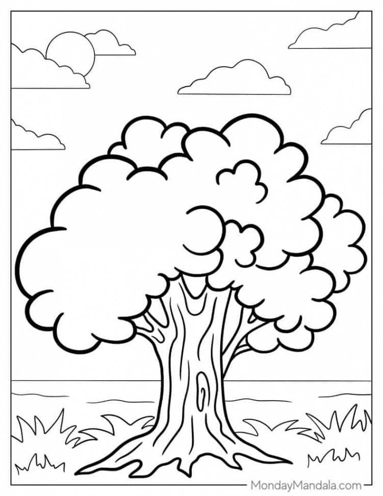 Tree Coloring Pages (Free PDF Printables)