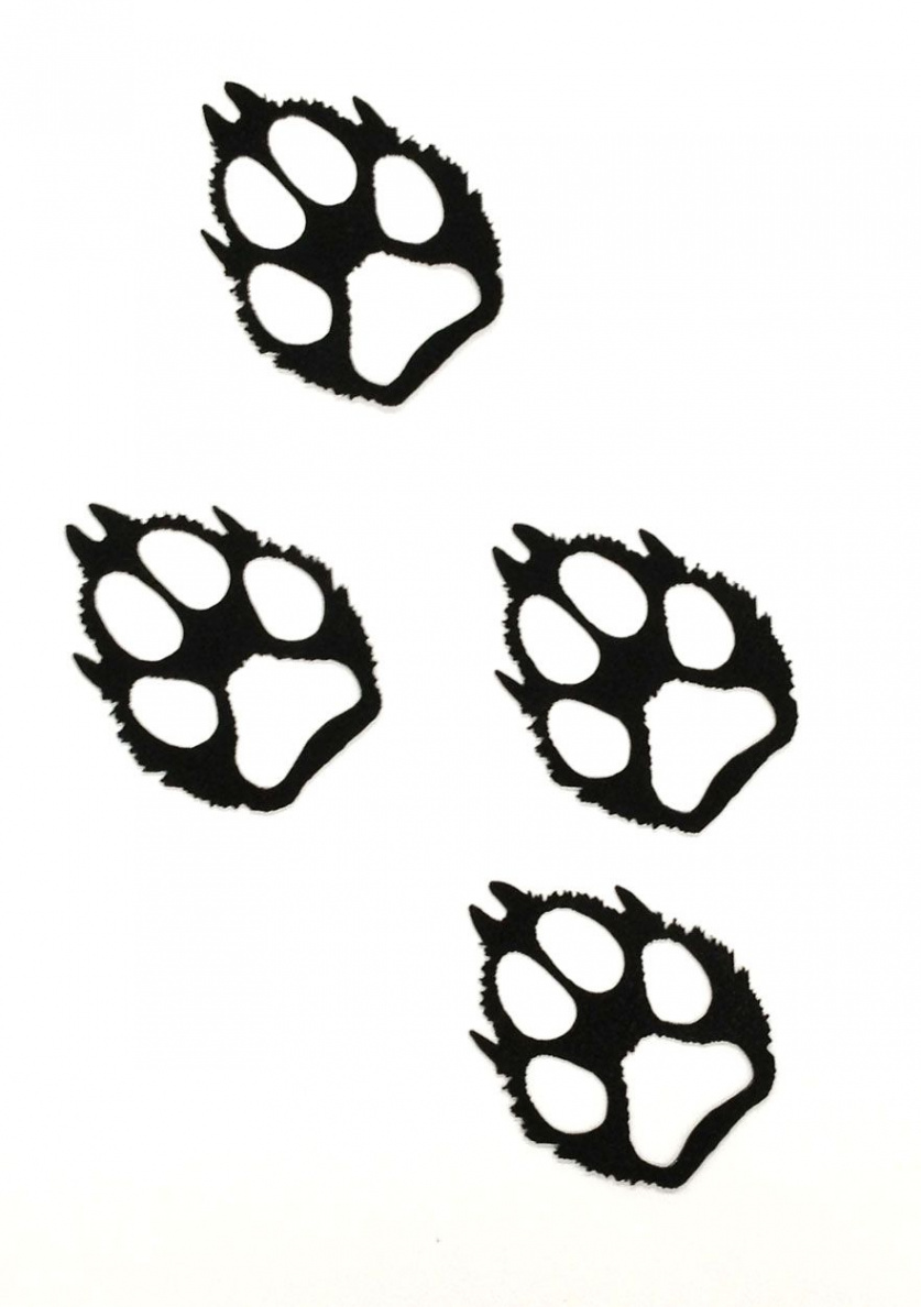 wolves  Wolf paw print, Wolf paw, Prints