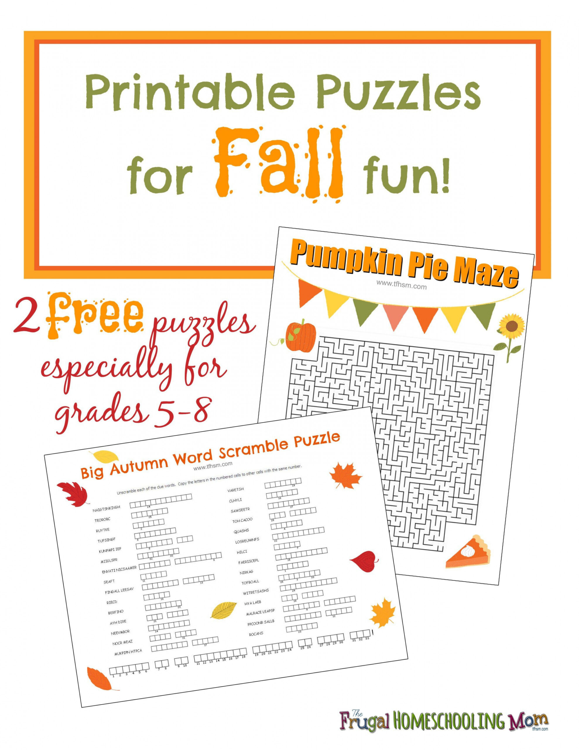 FREE Fall Printable Puzzles  Middle school activities