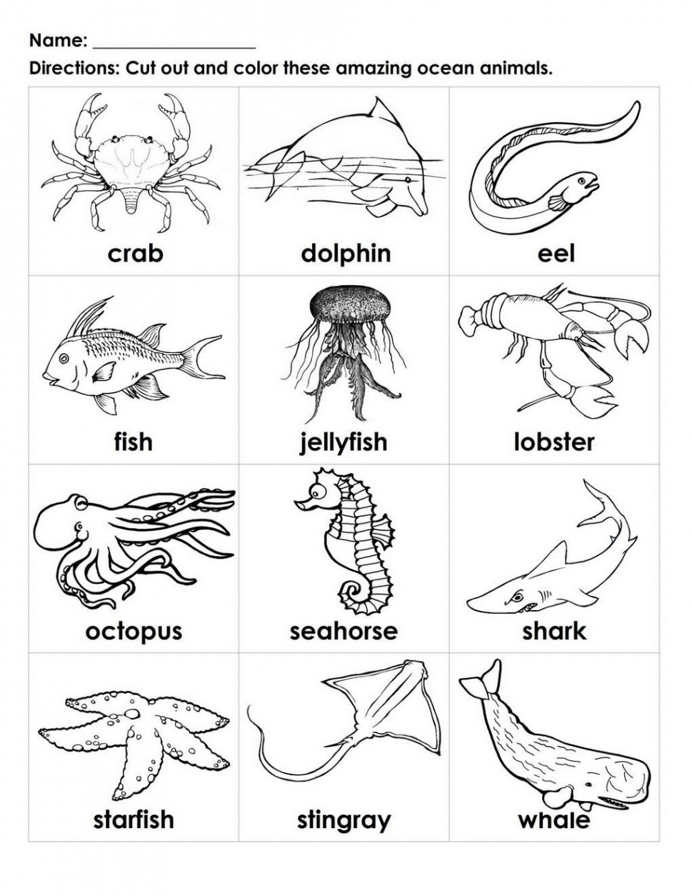 Free Printable Sea Creatures Flashcards  Flashcards  Sea animals