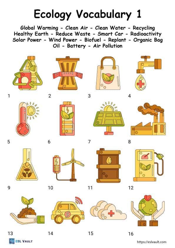 Darwin Finches Worksheet Pdf 14