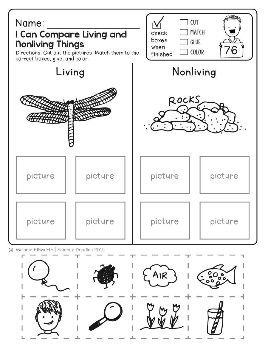 20 1St Grade Science Worksheets Free Printable Free