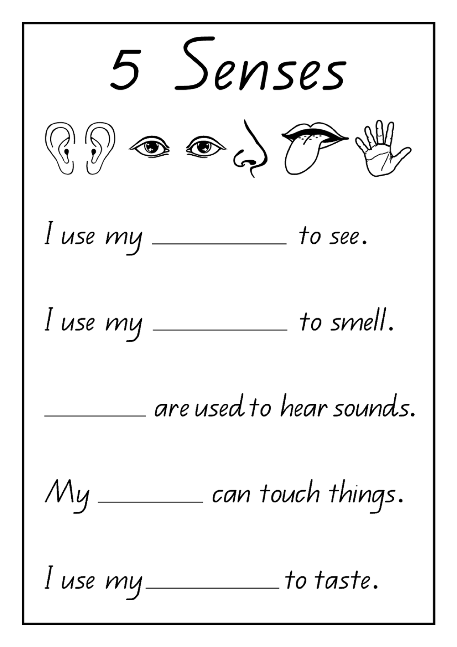 20 1St Grade Science Worksheets Free Printable Free