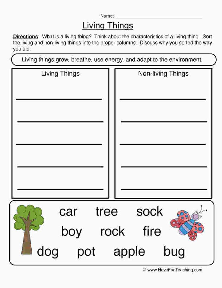 20 1St Grade Science Worksheets Free Printable Free