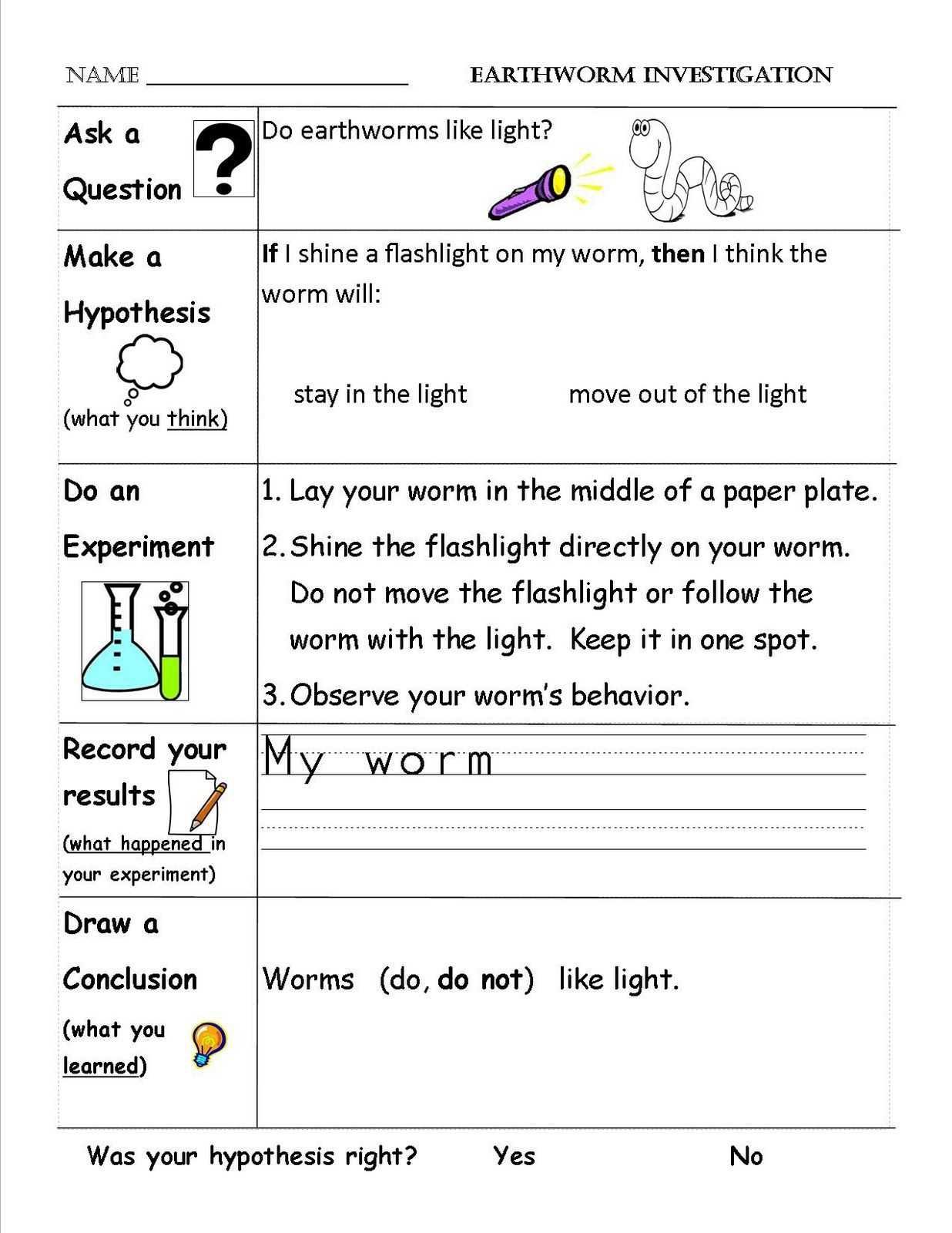 20 1St Grade Science Worksheets Free Printable Free