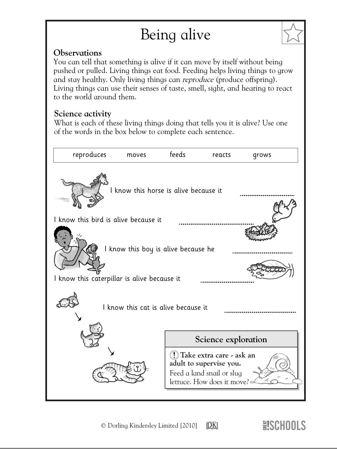 20 1St Grade Science Worksheets Free Printable Free