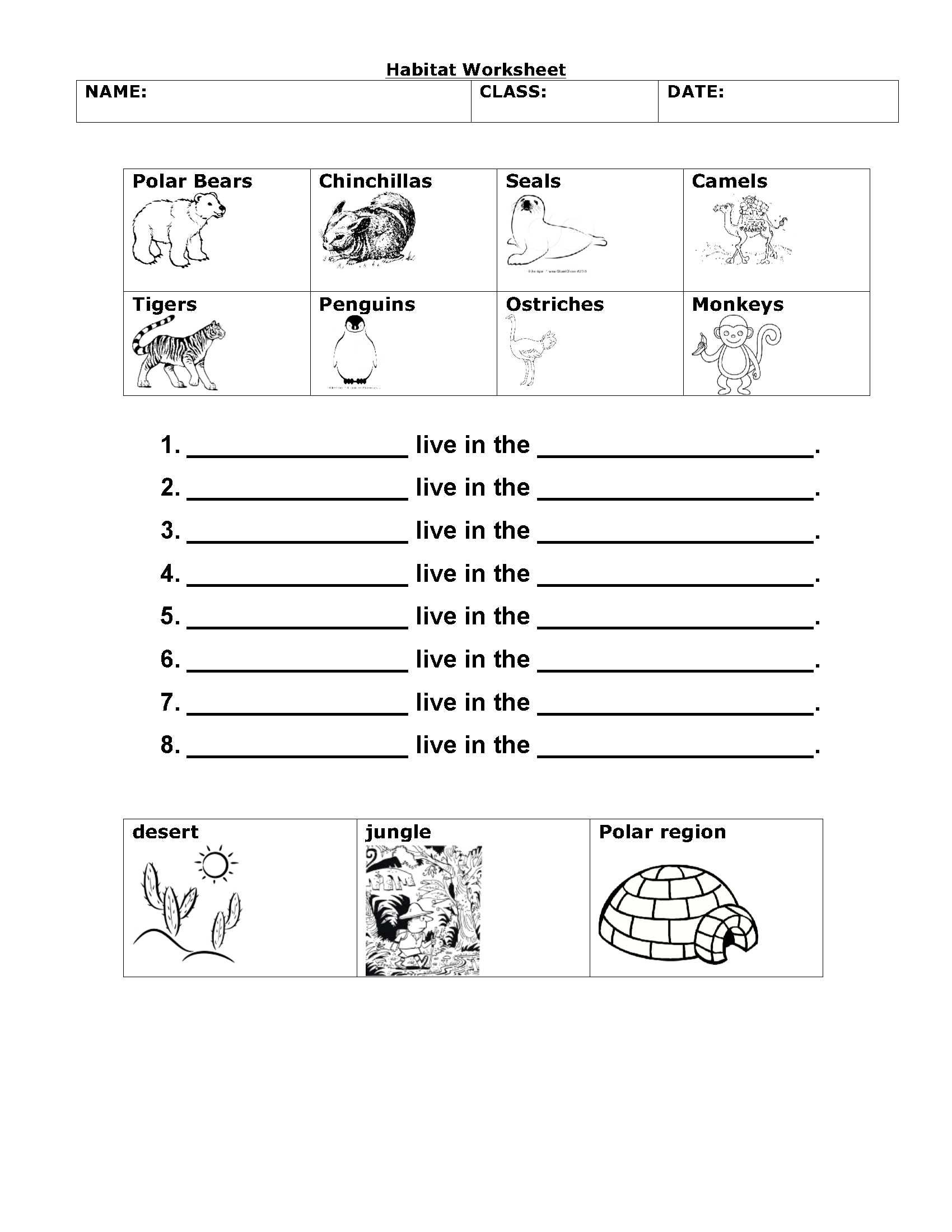 20 1St Grade Science Worksheets Free Printable Free