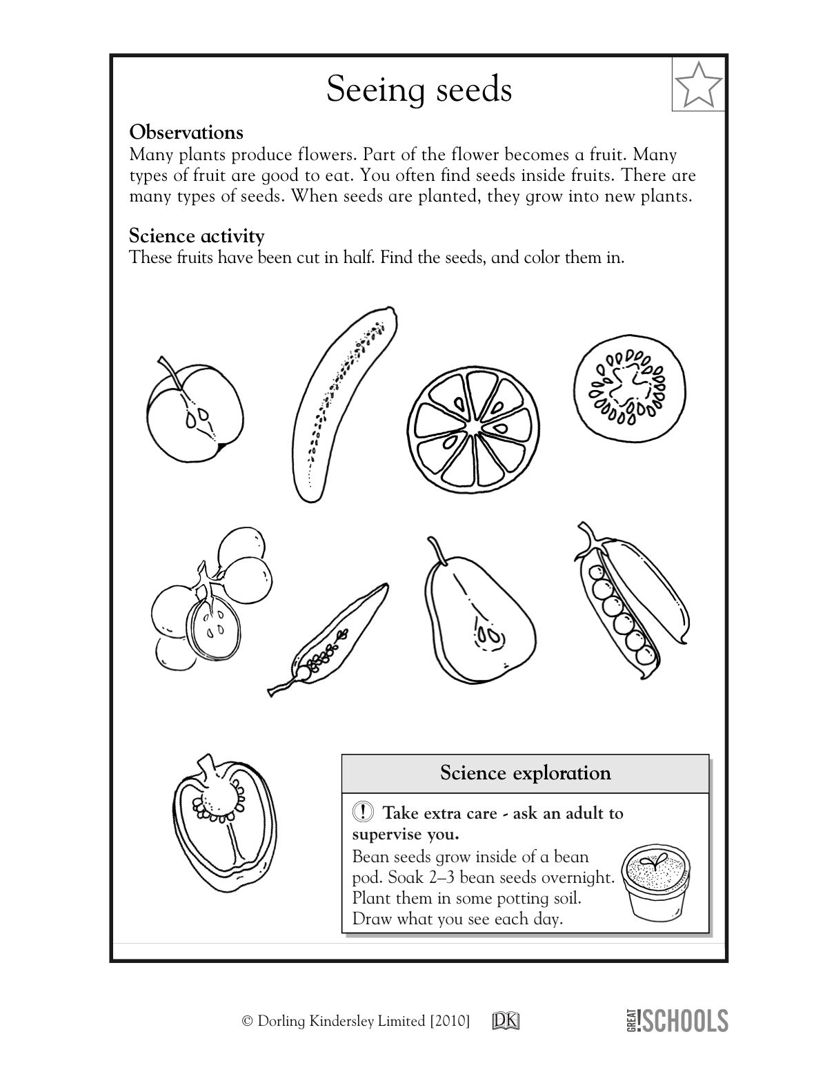 20 1St Grade Science Worksheets Free Printable Free