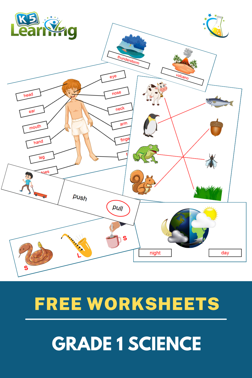 20 1St Grade Science Worksheets Free Printable Pdf