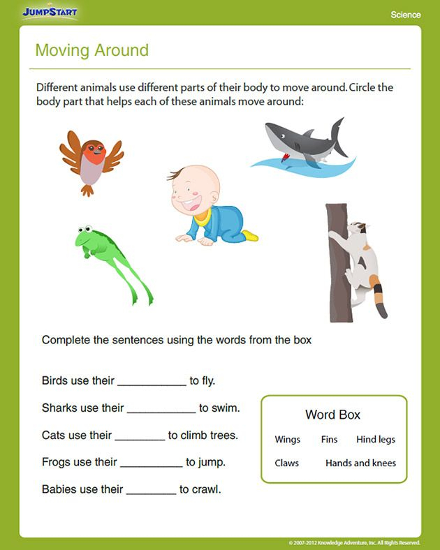 20 1St Grade Science Worksheets Free Printable Pdf