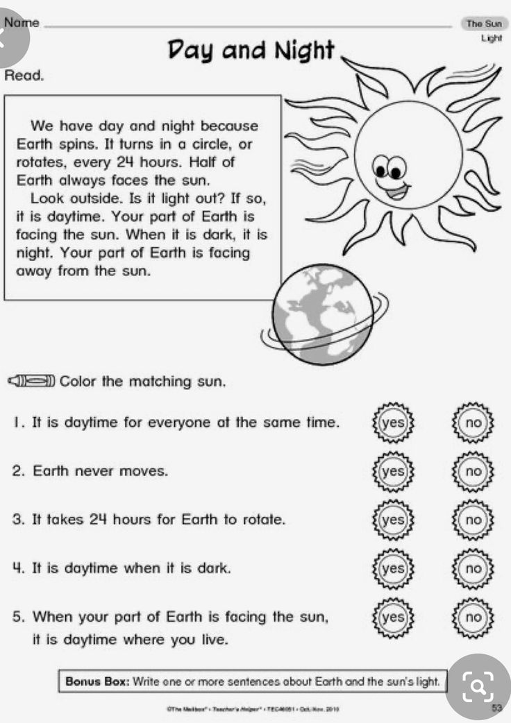 20 1St Grade Science Worksheets Free Printable Pdf