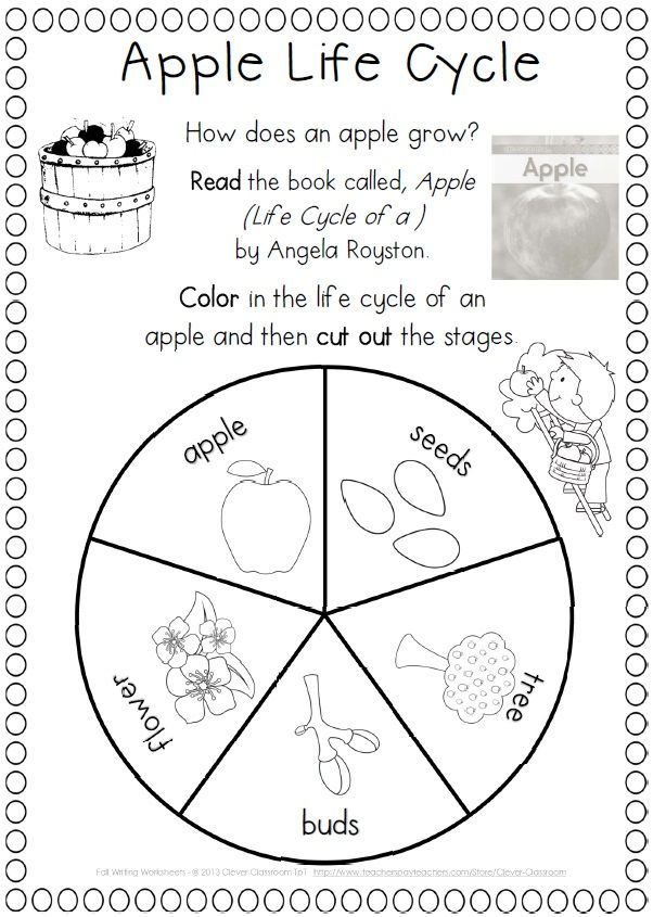 20 1St Grade Science Worksheets Free Printable Pdf