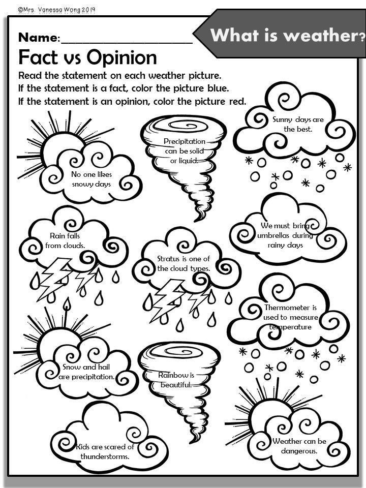 20 1St Grade Science Worksheets Free Printable Pdf