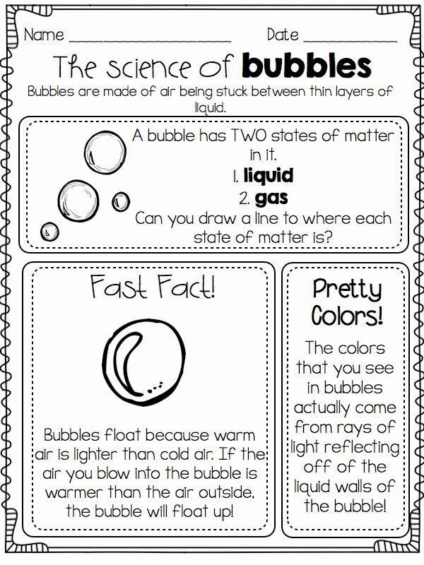 20 1St Grade Science Worksheets Free Printable Pdf