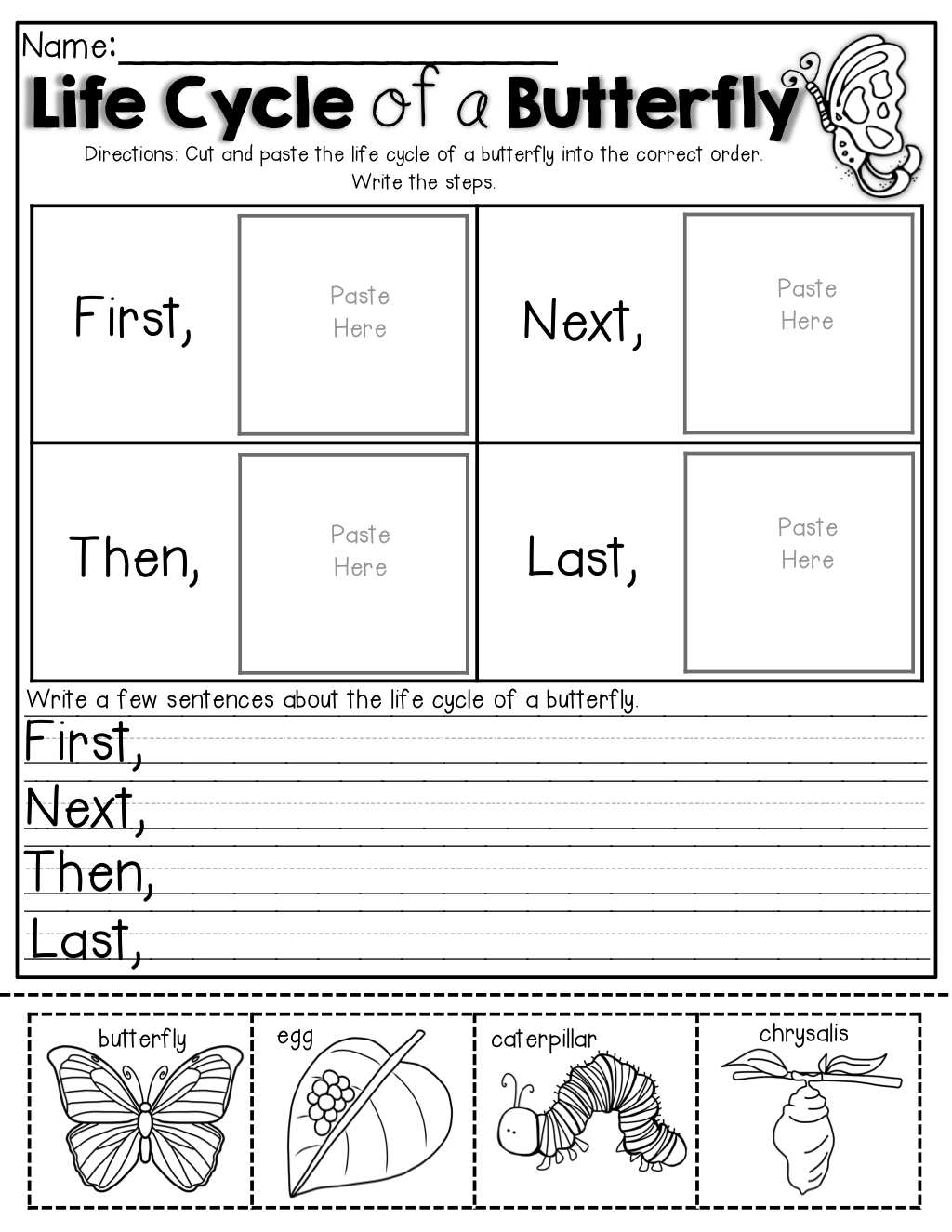 20 1St Grade Science Worksheets Free Printable Pdf