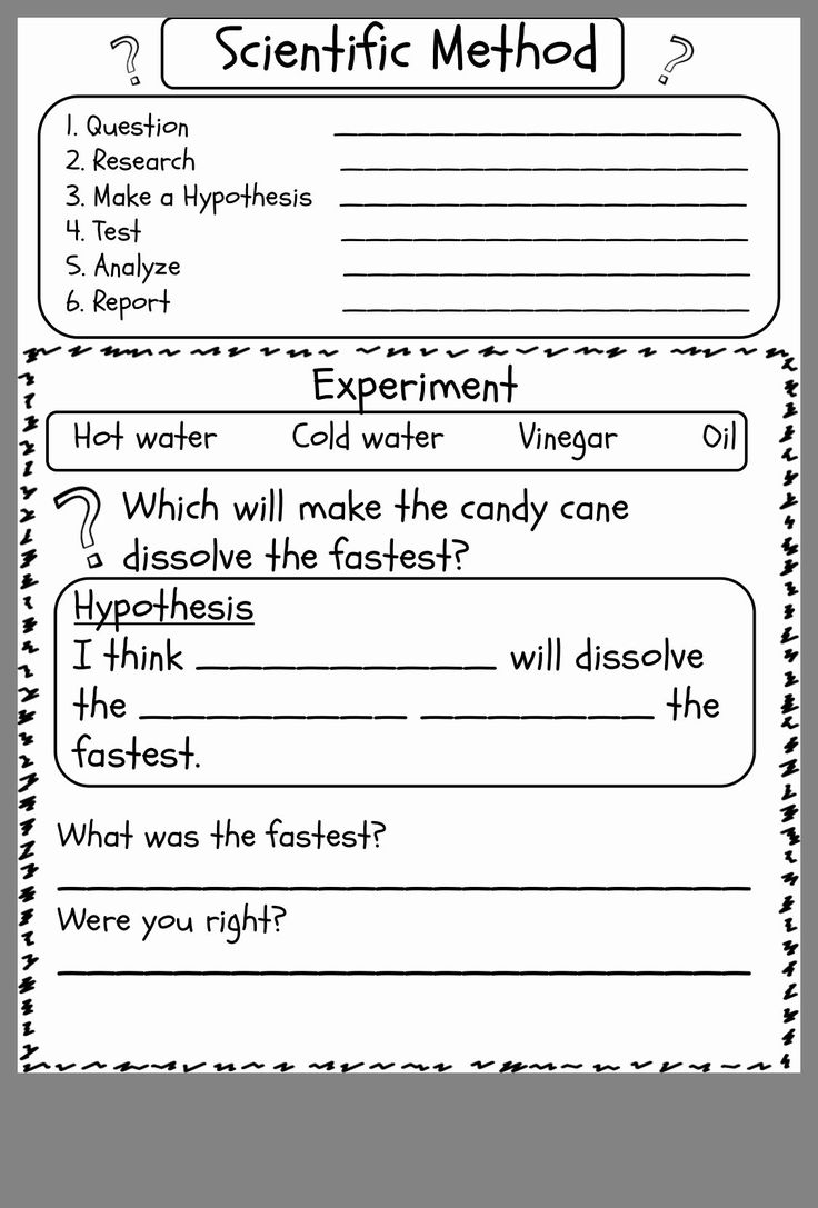 20 1St Grade Science Worksheets Free Printable Pdf