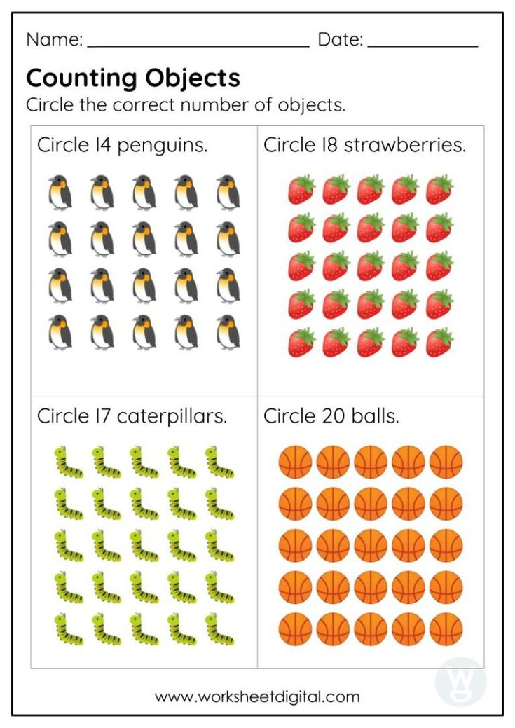 20 Counting Objects Worksheets For Kindergarten Free