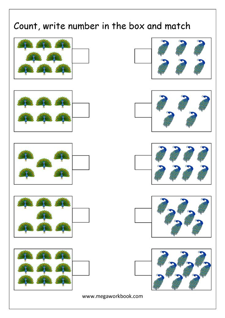 20 Number Matching Worksheets For Kindergarten Free