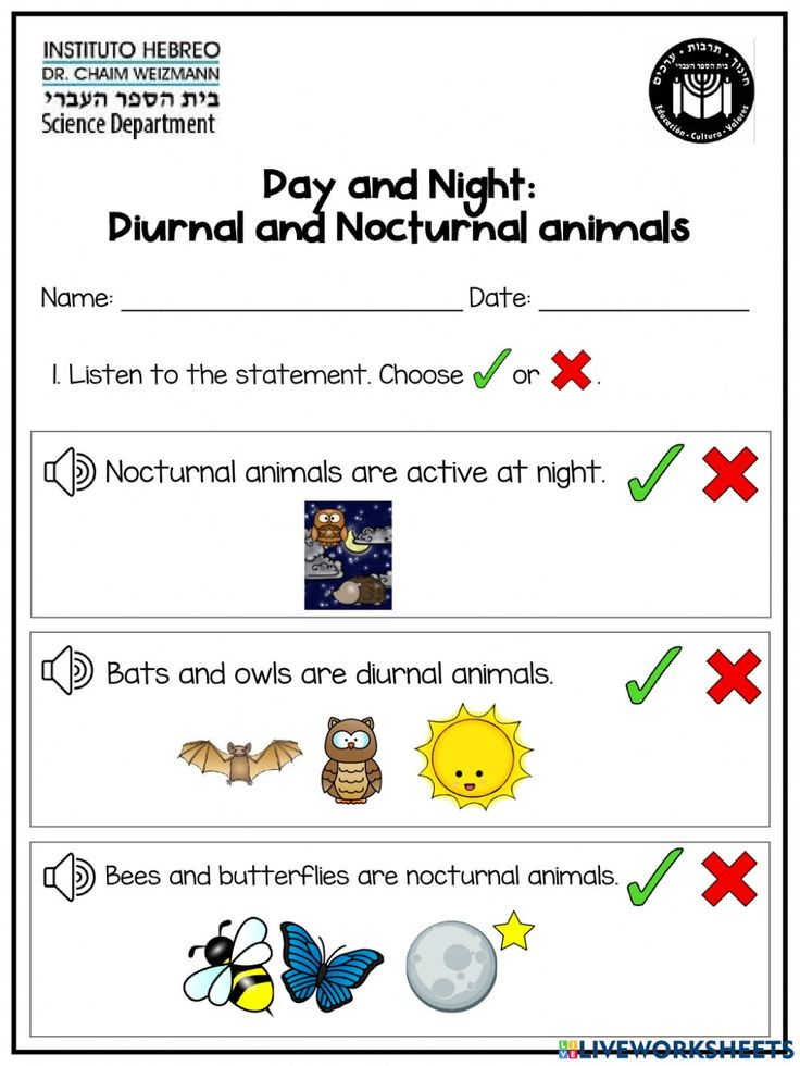 20 Worksheets For Kindergarten Day And Night Free