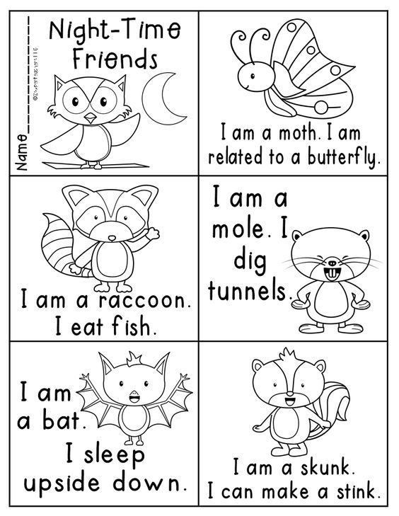 20 Worksheets For Kindergarten Day And Night Pdf