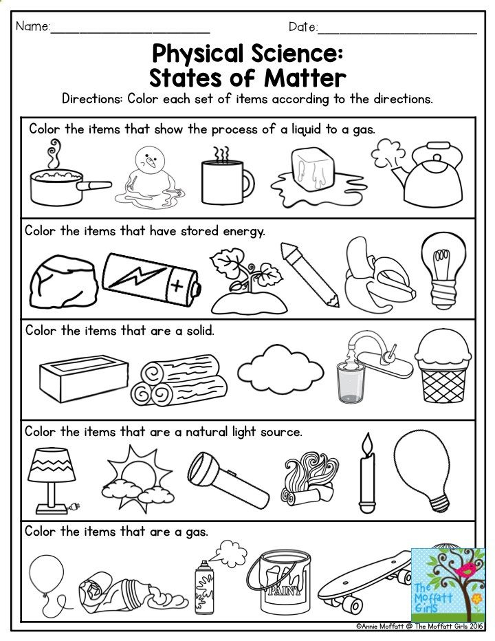 21 1St Grade Science Worksheets Free Printable