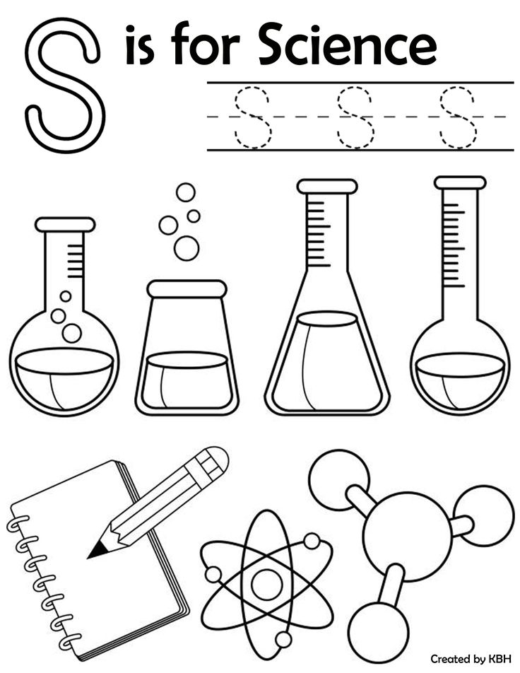 21 1St Grade Science Worksheets Free Printable