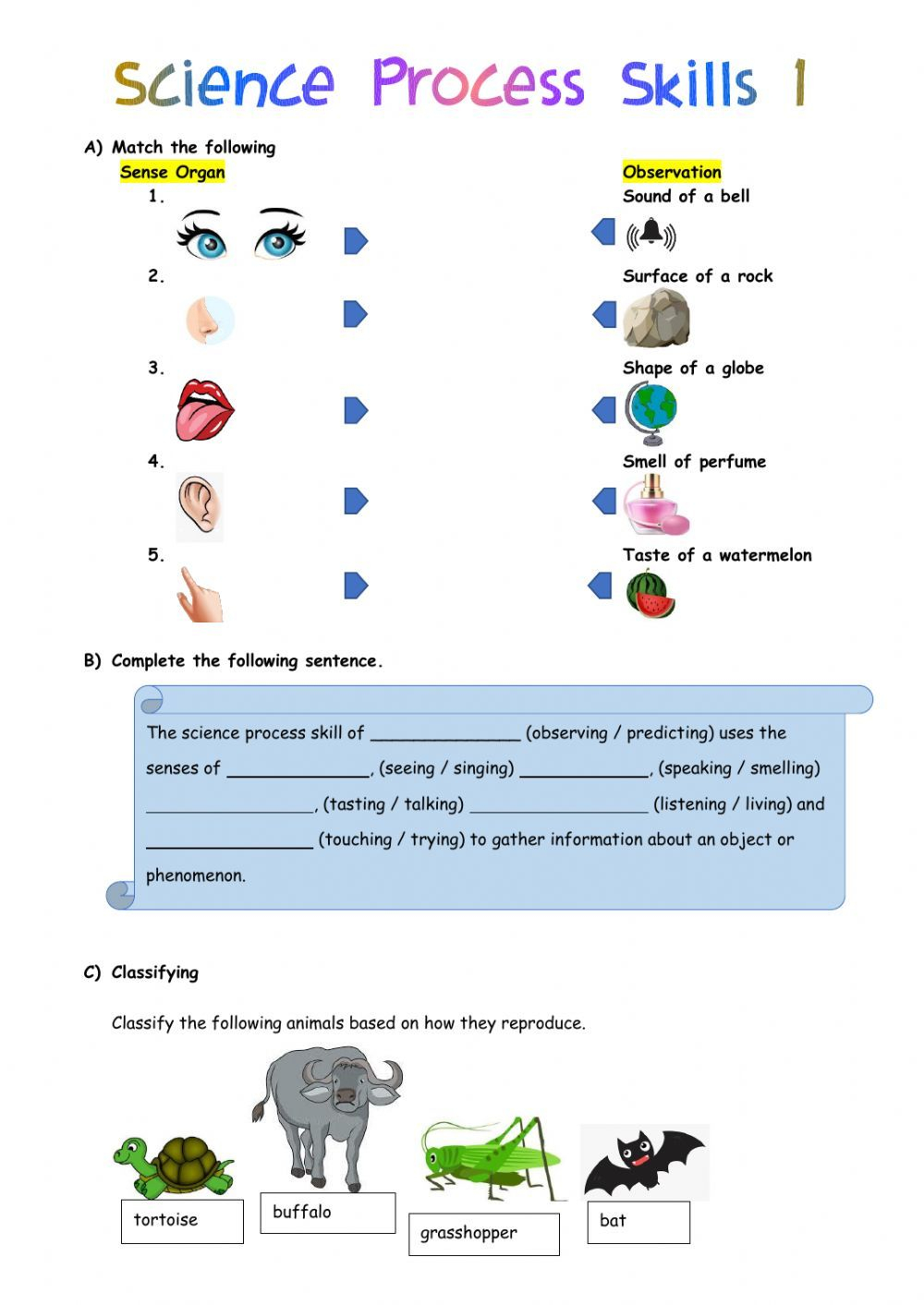 21 1St Grade Science Worksheets Free Printable