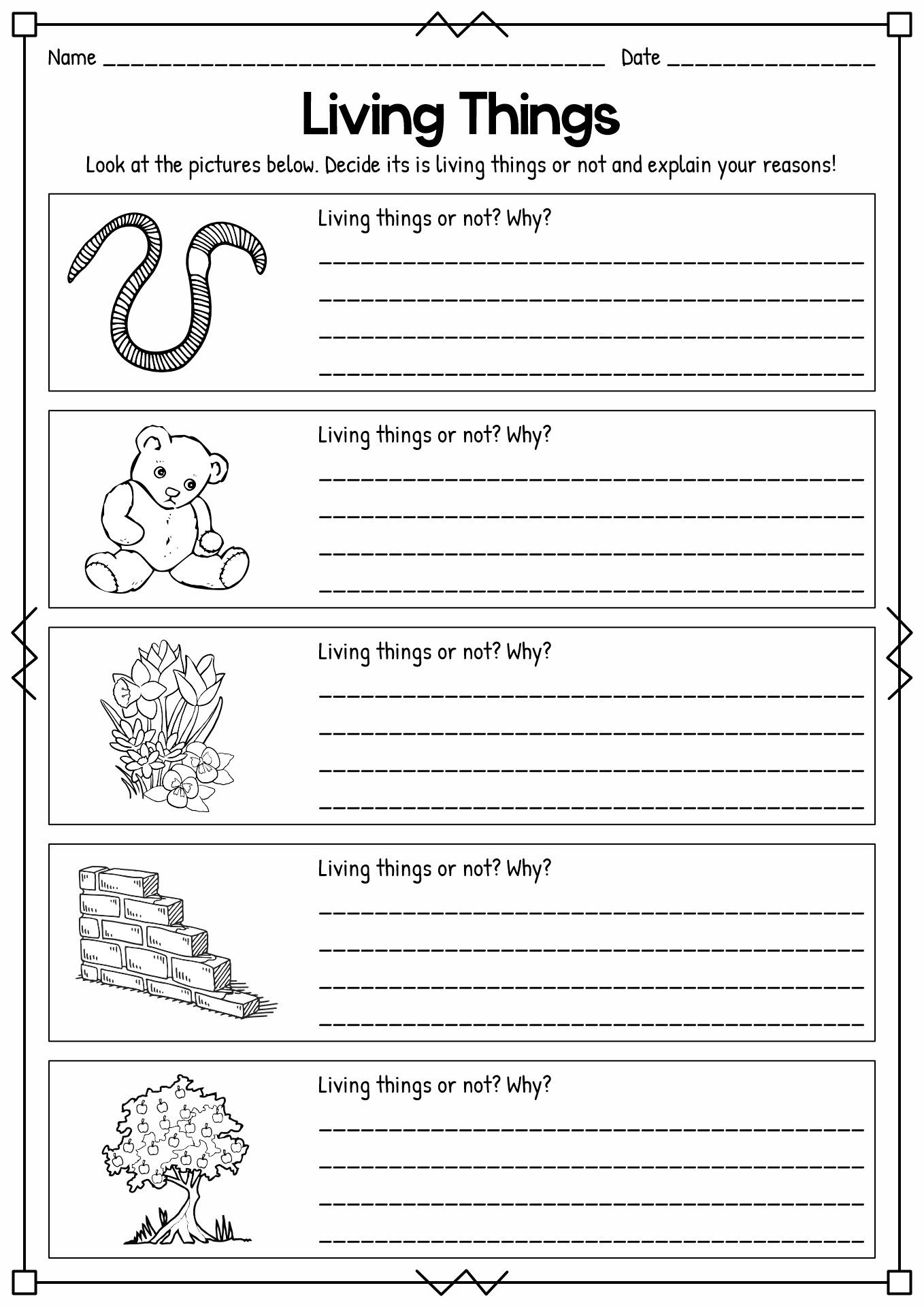 21 1St Grade Science Worksheets Free Printable