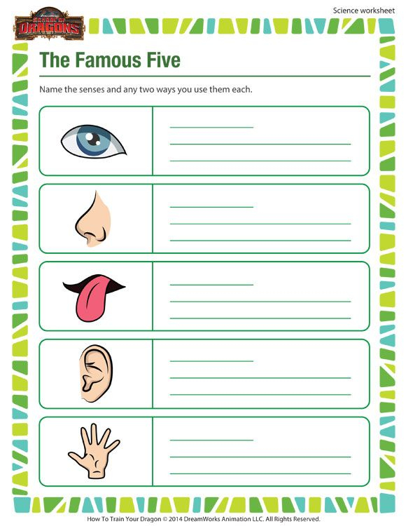 21 1St Grade Science Worksheets Free Printable